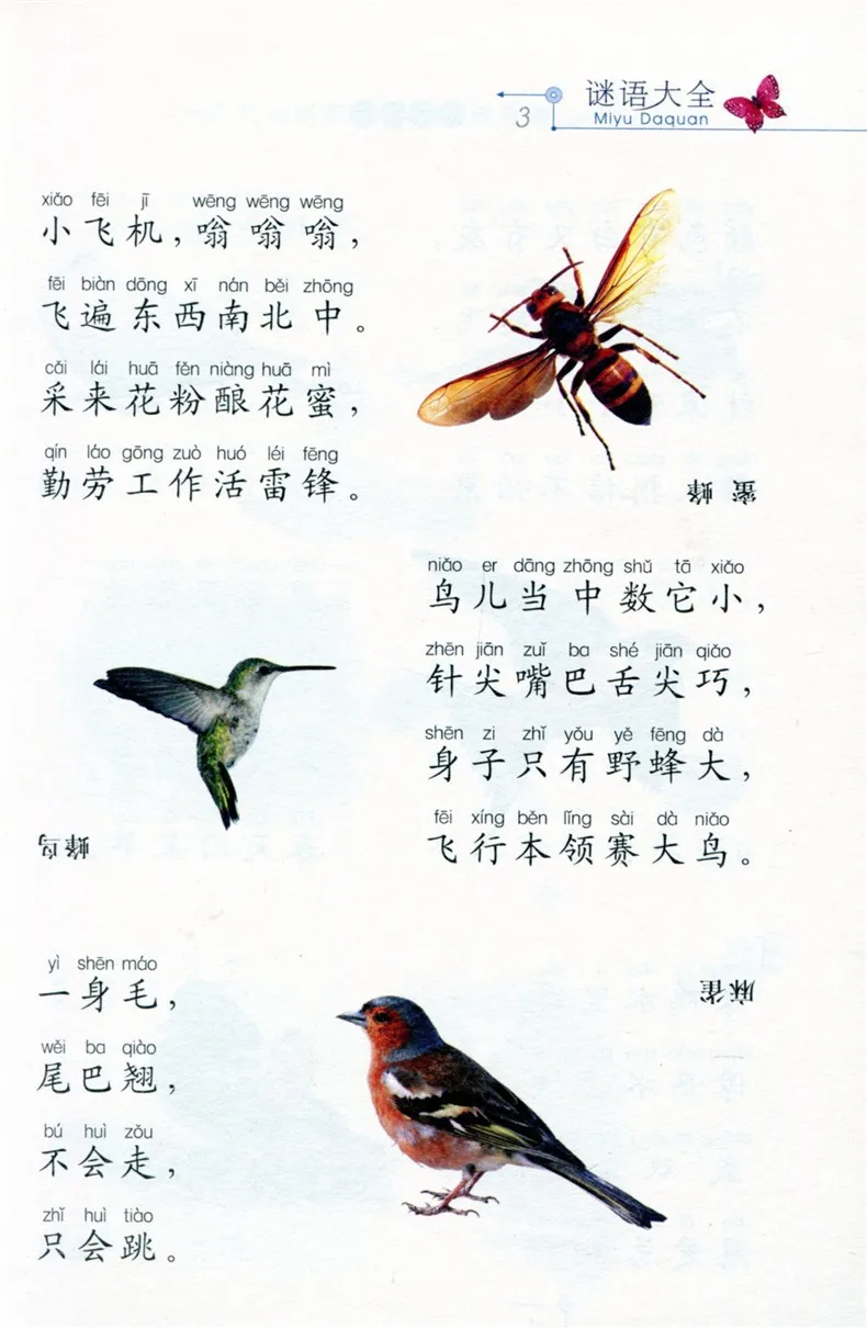 Китайский интеллектуального развития головоломки загадка книга малыша китайский мандарин пиньинь книги для детей От 5 до 8 лет