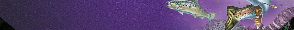 ENG_06
