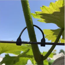 50PCS 5.5cm 6cm 6.5cm Vines Fastener Tied Buckle Hook Plant Vegetable Grafting Clips Agricultural Greenhouse Supplies