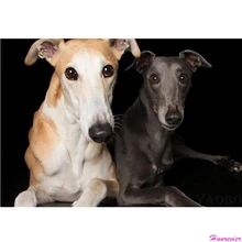 Алмазная вышивка, фото на заказ 5d алмазная живопись, вышивка крестом, 3D, Алмазная мозаика, Борзая Собака Алмазная Картина декор