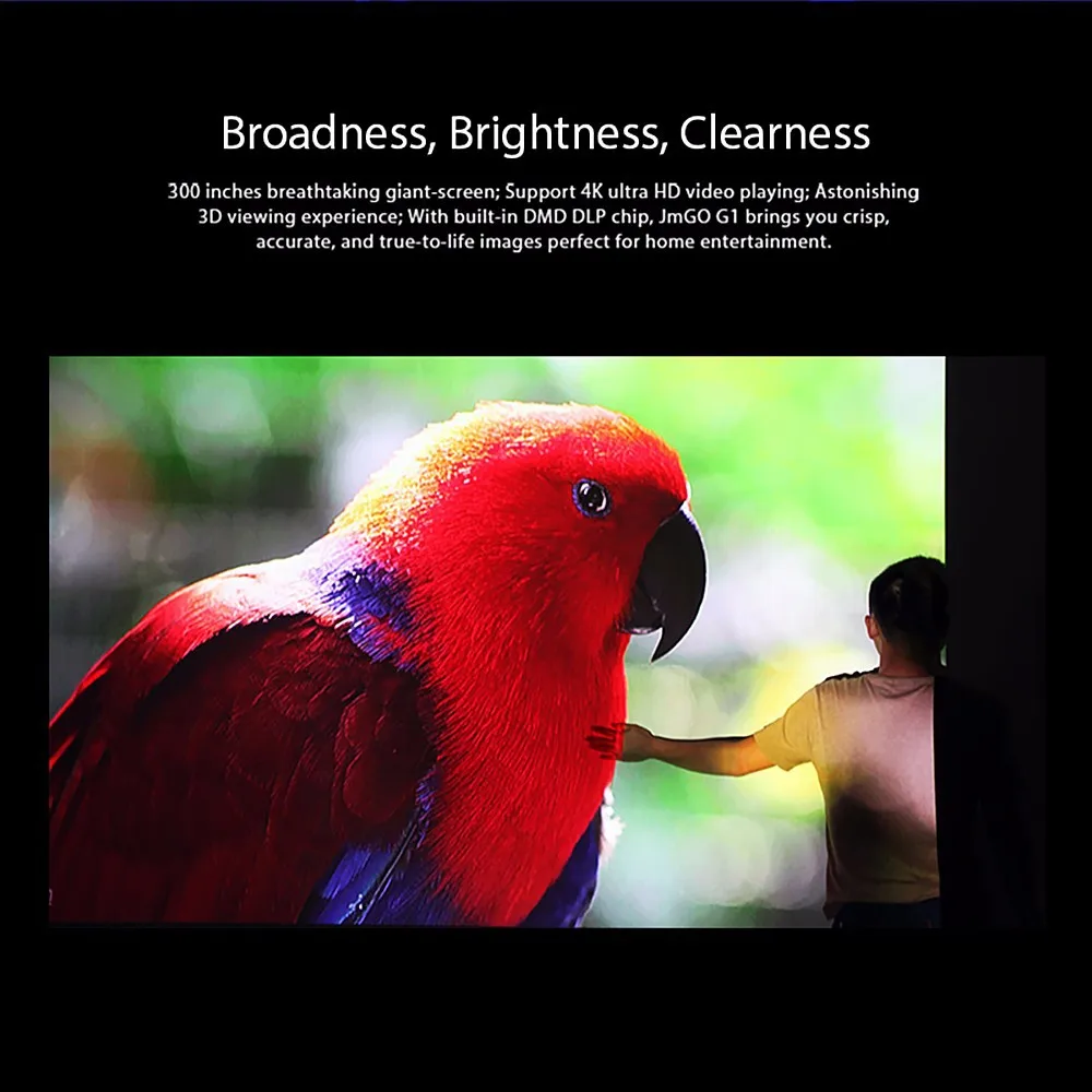 ib385_8_5358293011411267589