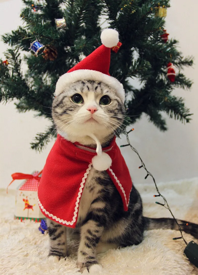 [MPK Cat Costume] Милая Рождественская шляпа и шейный платок для кошек и собак, получить его до Рождества