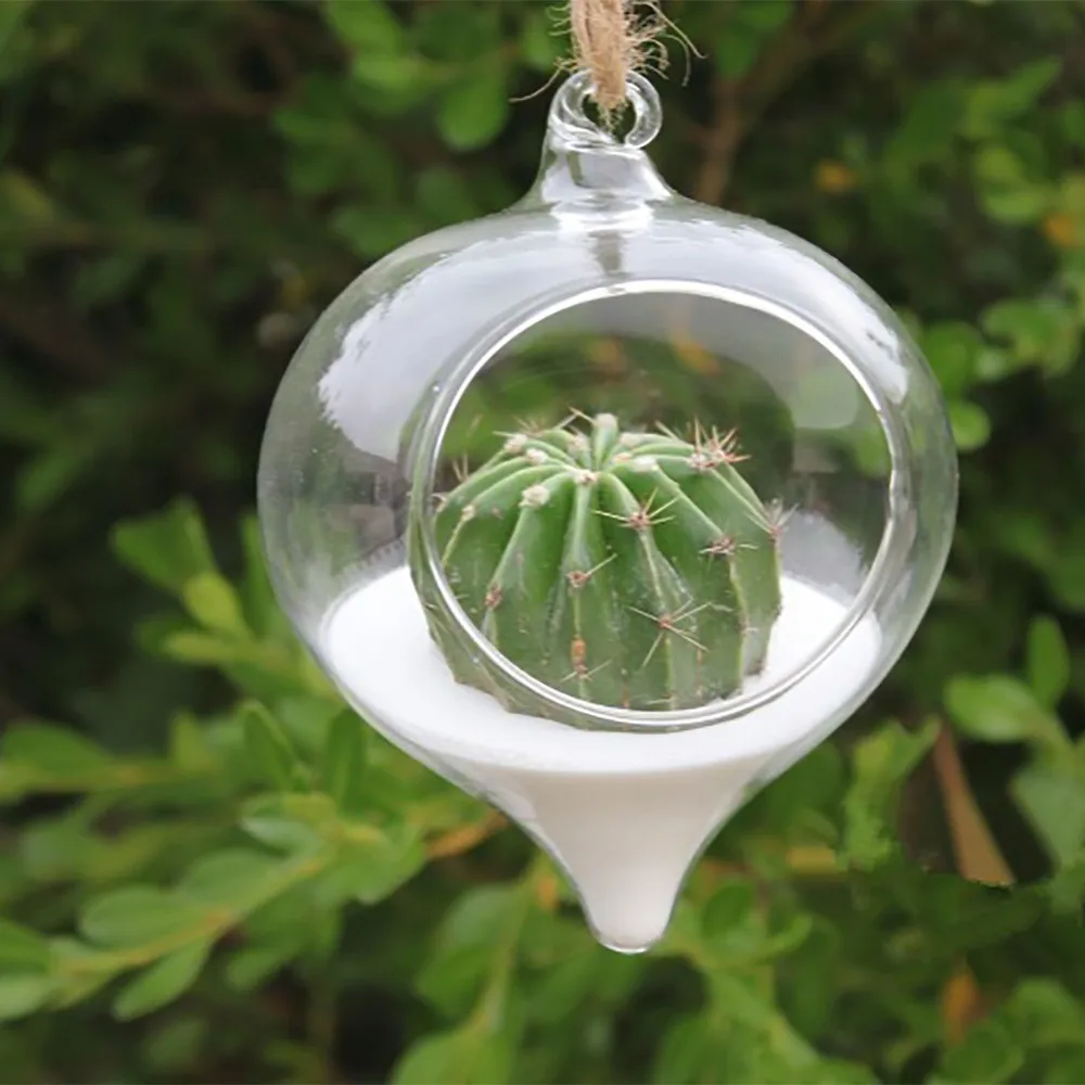 

HOT SALE Modern minimalist living room office decoration water plant transparent vase hanging succulent glass