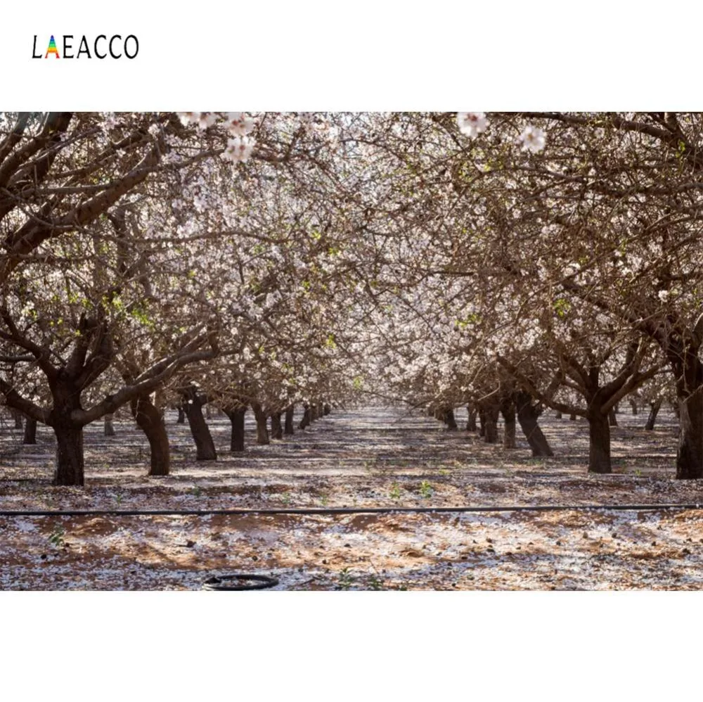 Laeacco фотофоны розовое освещение для деревьев весенний фон фотосъемки с