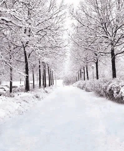 الثلوج الطبيعية الخلابة كاميرا صور التصوير الرقمي خلفية الرذاذ رسمت موسلين الفينيل خلفية الرقمية القماش Backdrop Cloth Cloth Backgroundvinyl Background Aliexpress