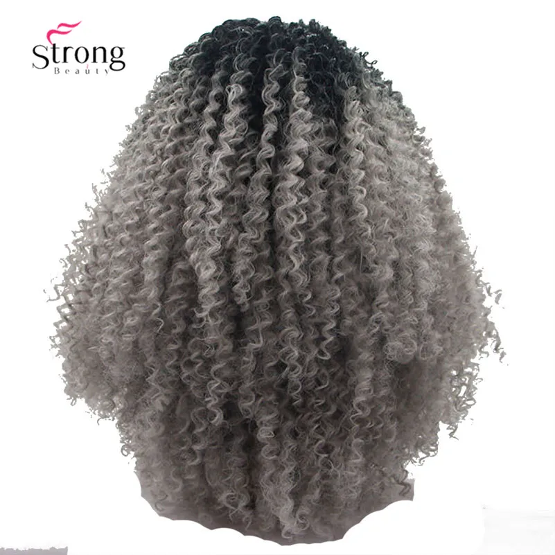 Ombre Gray 2 Tones  Synthetic Lace Front Wig (1)