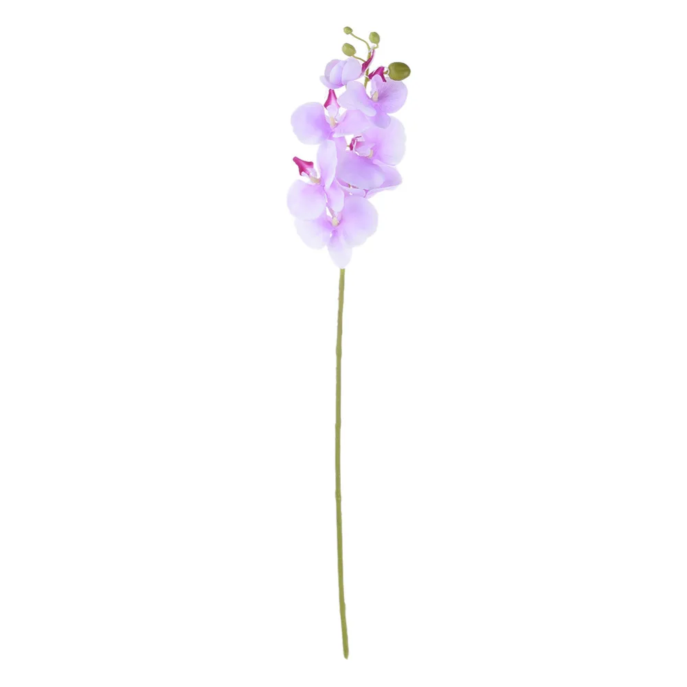 ZS313Lightpurple (1)