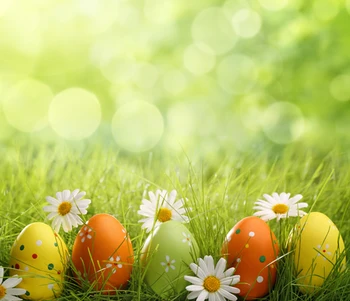

HUAYI 5x5ft(150cmx150cm) Customized Art Fabric Easter Eggs Backdrop Photography Newborn For Studios Drop D-6520