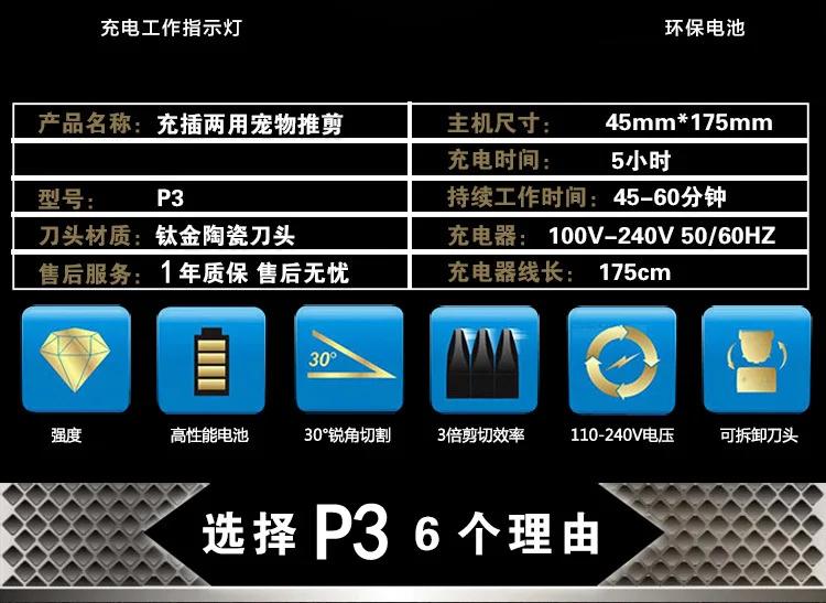 P3 (10)