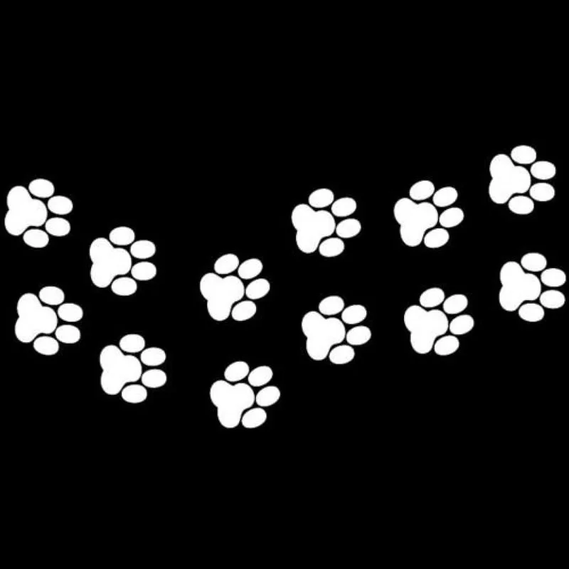 HTB1CImIRVXXXXa6XXXXq6xXFXXX8