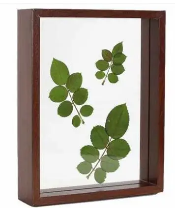 SUFEILE образец растения рамка для картин 6 дюймов Твердая Деревянная креативная декоративная рамка DIY деревянная стеклянная рамка высокой четкости D50 - Цвет: brown