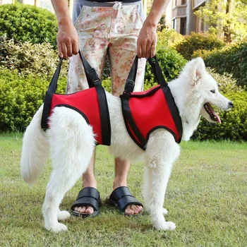

2Pcs/Set Promotion Dog Harness Vest Dog Lift Support Harness Pet Accessories Dogs Collar Auxiliary Strap Pet Supplies #279551