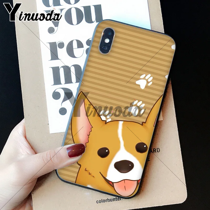 cute Corgi dog