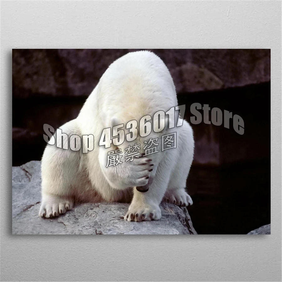 

Full 5D DIY Diamond Painting Polar Bear Animals Diamond Embroidery Cross Stitch Diamond Mosaic Rhinestone Home decoration