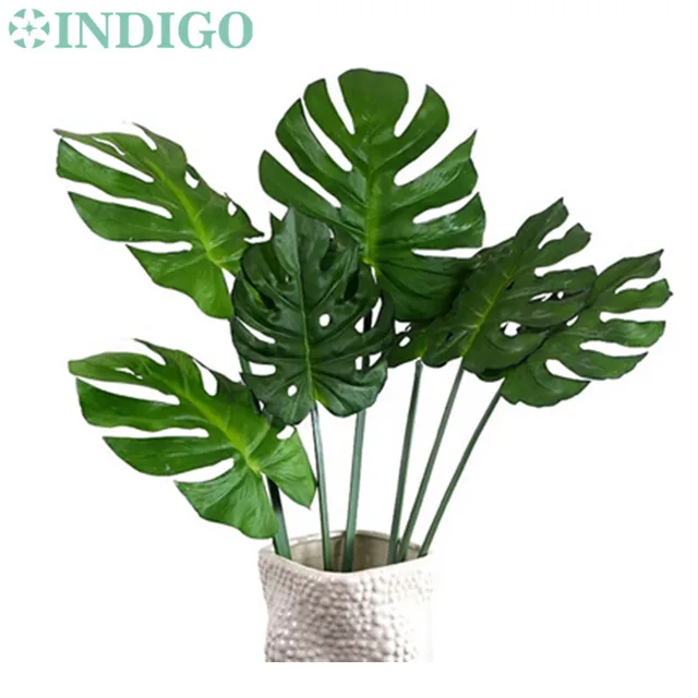 Your virtual plant lover's paradise! Seeds, plants and gardening supplies for home gardens - Large, exclusive selection: Heirloom and organic seeds and plants. Vegetable, flower, herb, fruit, perennials.