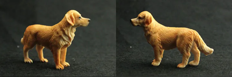 TB2LVTQoFXXXXc6XXXXXXXXXXXX_!!484838263