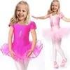 2016 Cute Girls Ballet Dress For Children Girl Dance Clothing Kids Ballet Costumes For Girls Dance Leotard Girl Dancewear ► Photo 1/6