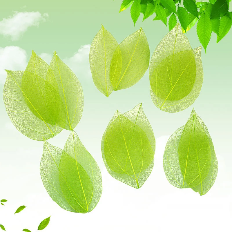 QQ20190322160418