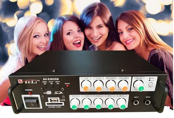 

AV-938 220V Home 2.0 Amplifier 12V Car Amplifier Computer Karaoke Amplifier Support SD Reading