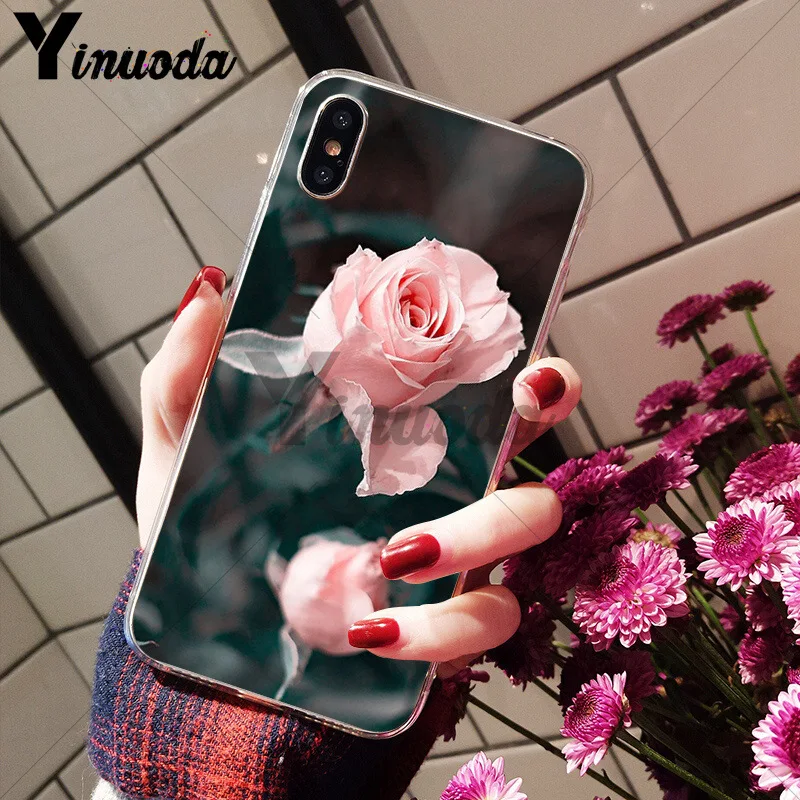 Flower Pink Peonies Peony