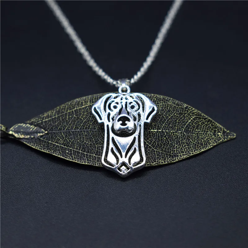 Elfin трендовые ожерелья Doberman Pinscher золотые серебристые ювелирные изделия подвески