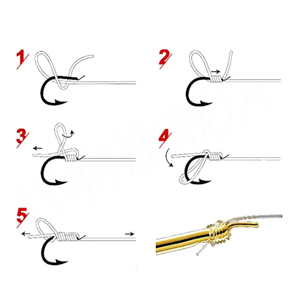 2807822753_1809764385