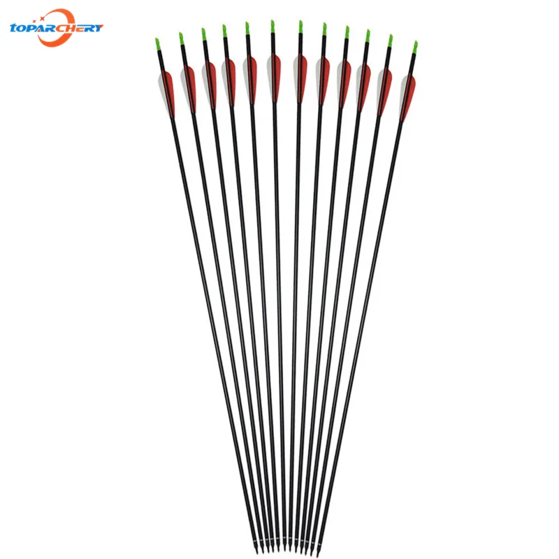 

6pcs Replaceable Tips 30" Archery Mixed Carbon Arrows with Plastic Feather for Compound/ Recurve Bow Hunting and Shooting