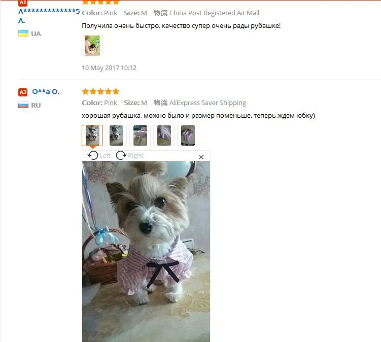 pingj