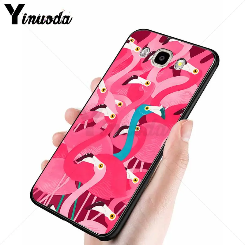red summer animal flamingo
