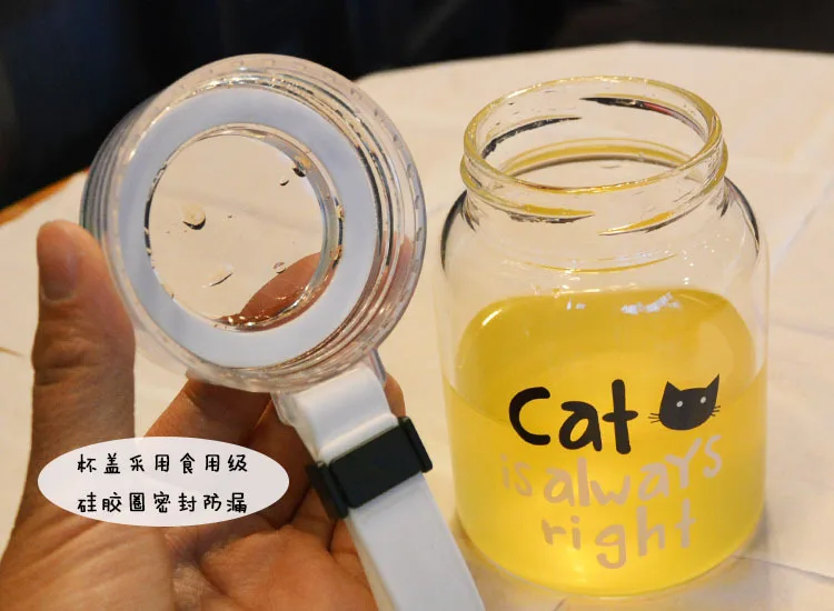 300 мл мультфильм милый кот прозрачная стеклянная бутылка для воды студенческий школьный чайник дорожная чашка кофе чай молоко стакан для