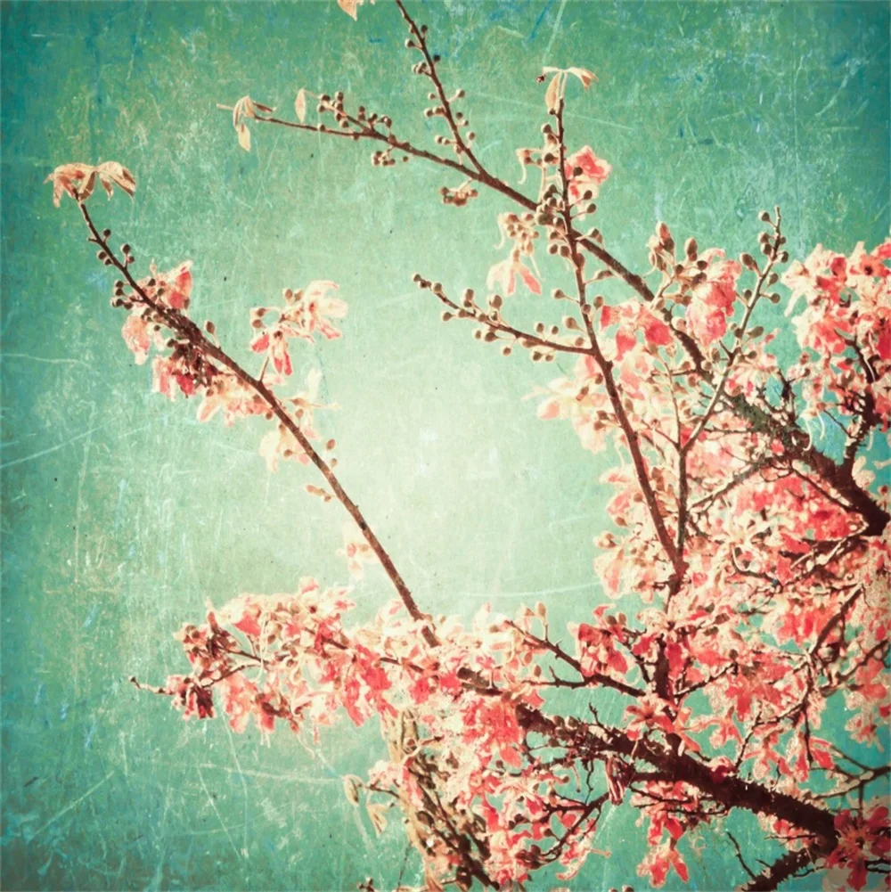 Laeacco Blossom Flower Gradient Wall Portrait Scenic Photographic