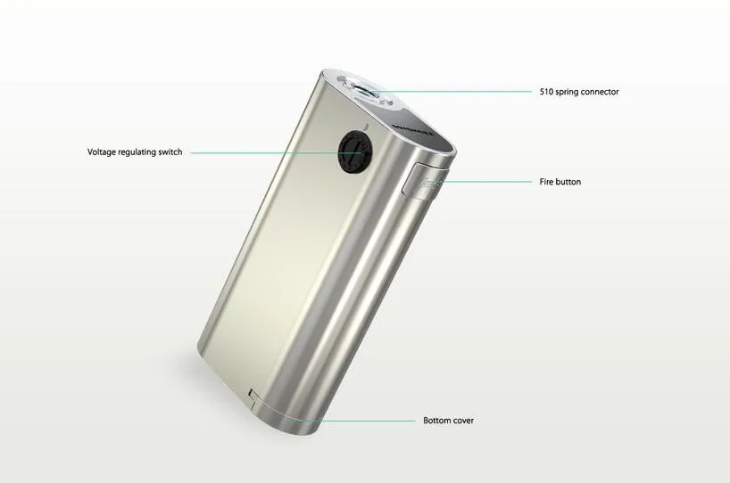 Noisy Cricket II 3