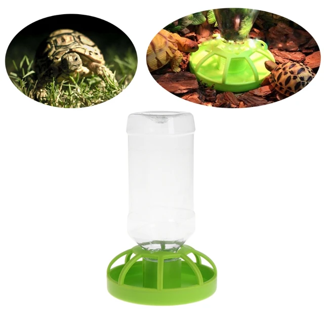 New Reptile Water Drinker Dispenser Food Bowl Lizard Feeder Round Dish Drink Bottle 2