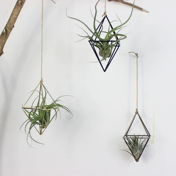 

Freestanding Hanging Planters Geometric Swing Wrought Iron Tillandsia Air Plants Holder Triangular Shaped Metal Rack Home Decor