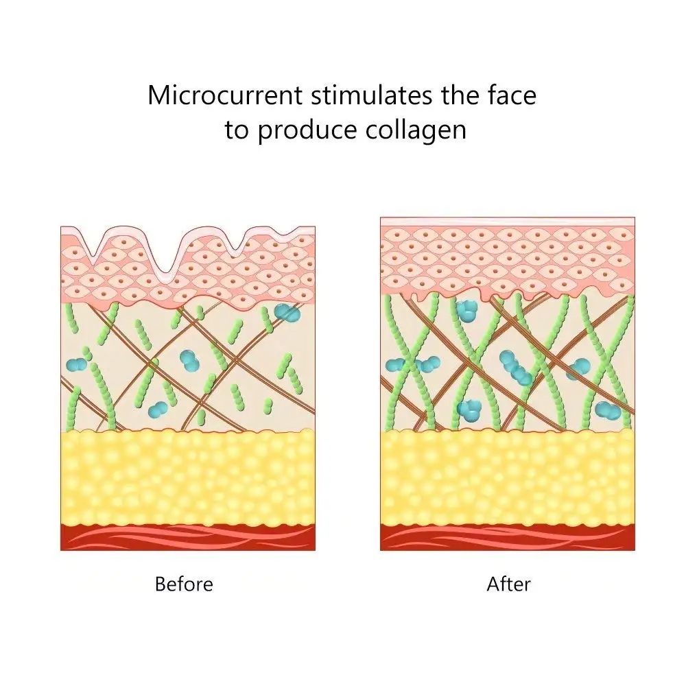 Face Lifting Machine Skin Tightening Toning Set Microcurrent Massager Facial Beauty Antiaging Remov
