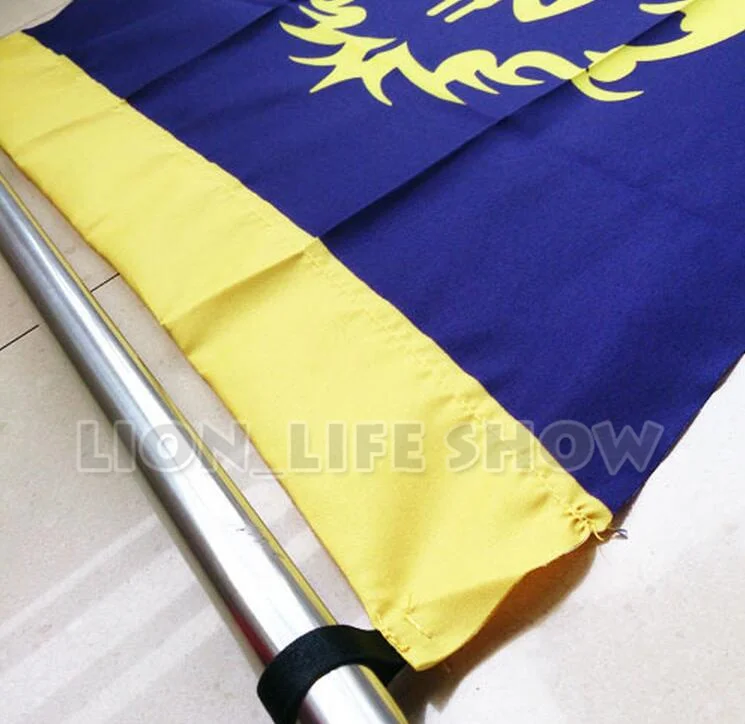 Bannière de drapeau de Cosplay, 96x65cm, Version la magie des yeux de  Dalaran, Alliance Lion & Horde, film de jeu