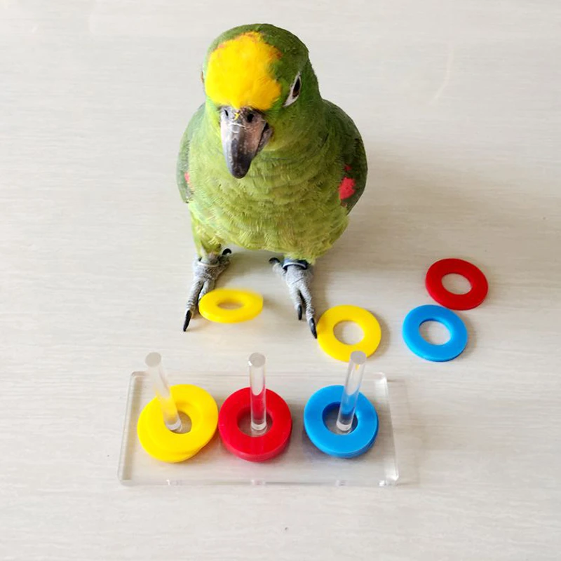 acrylic parrot toys