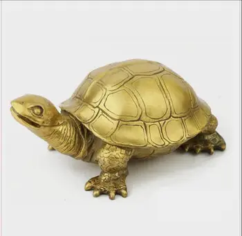 

SCY 17 1108+++Large copper tortoise