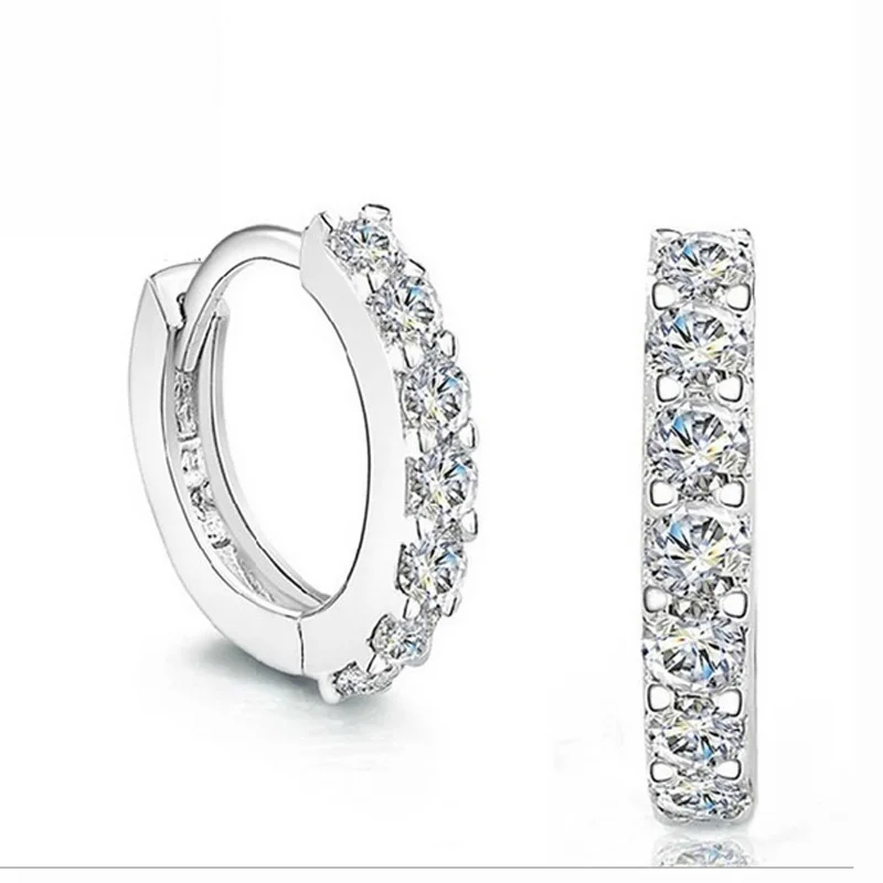 Temperament wild zircon earrings Prevent allergy Earring buckle girls