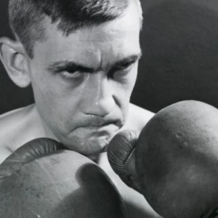 Mid adult man in a fighting stance Poster Print (24 x 36)