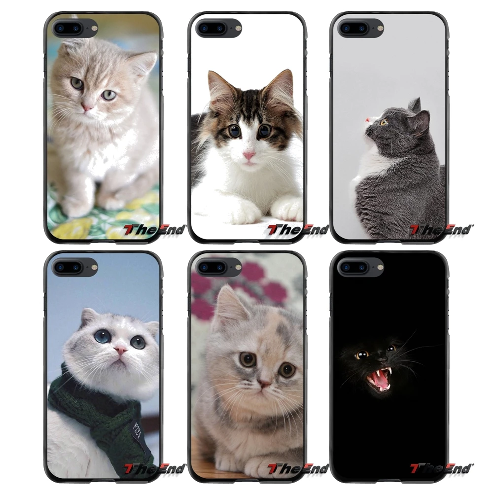 Felis silvestris Британская Короткошерстная Черный Кошачий Глаз Для Apple iPhone 4 4S 5 5S 5C SE 6 S 7
