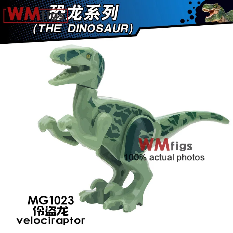 MG1023 