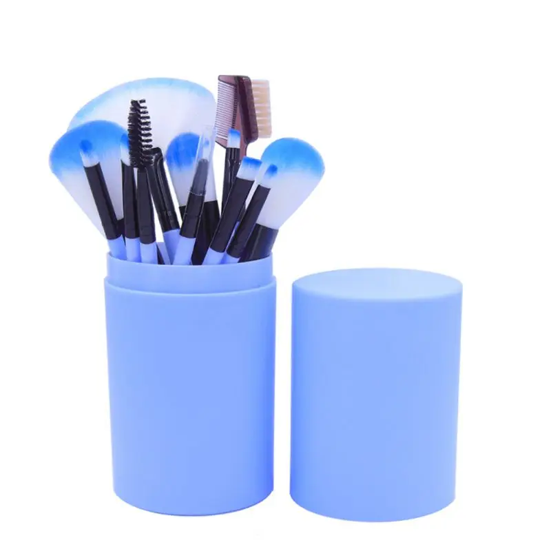 

12 Pcs Eye Makeup Brush Set Eyeshadow Eyeliner Pencil Makeup Brushes Rose Purple Handle Plastic Pot