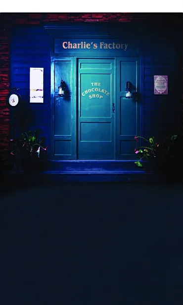 

New arrival Background fundo Shops closed at night 300CM*200CM(about 10ft*6.5ft) width backgrounds LK 2239
