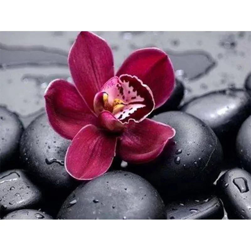 

Diamond Painting Cross Stitch Flowers,Full Square & Round Diamond,DIY,Diamond Embroidery Orchids,5D,Diamond Mosaic Decor Gift