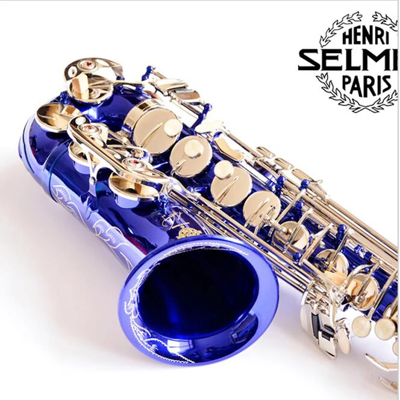 Fast Shipping DHL/UPS France Selmer SAS R54 Alto Saxophone R54