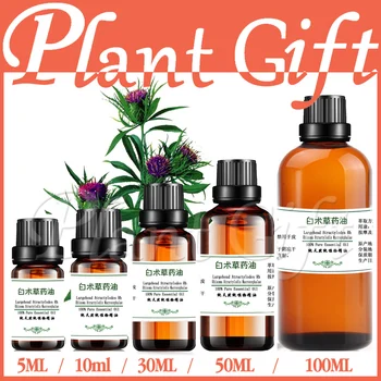 

100% pure plant Herbal medicine oils Largehead Atractylodes Rh herbal oil Essential oils Chinese Atractylodes Rhizome