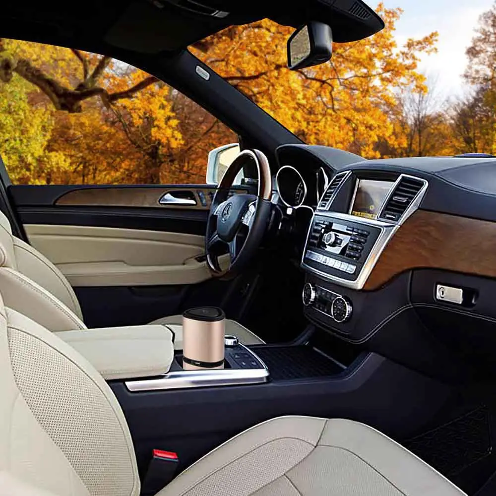 Car Air Purifiers (6)