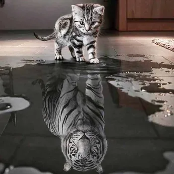 

5D DIY Diamond Embroidery "Cute Kitten to tiger" Square/Round Rhinestone Sets Full Diamond Painting Cross Stitch handcraftLG2979