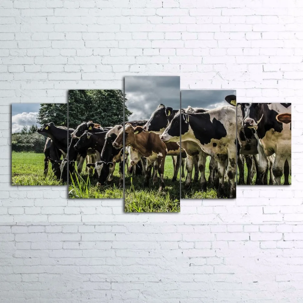 canvas_5_wall_cows_hdr_1024x1024
